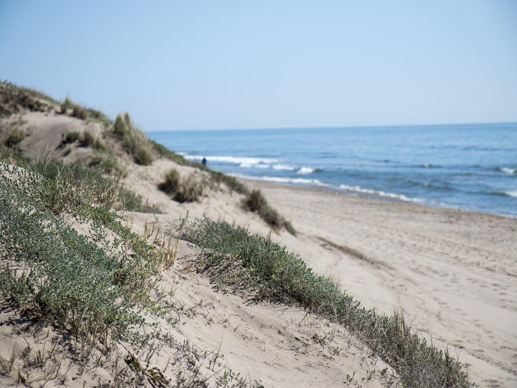 Wood House Close Beach マルベーリャ エクステリア 写真